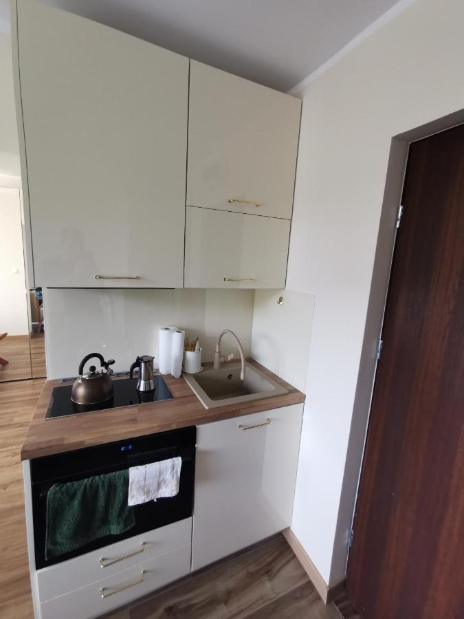 Hearth Hill View Apartment Ustroń Exterior foto
